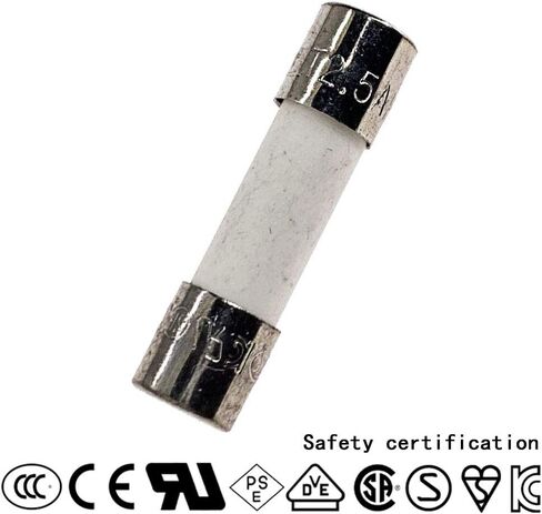 10 PCS Ceramic fuses T16A250V Slow-Blow 5x20mm/0.2x0.79inch 16AMP 250V in Saudi Arabia