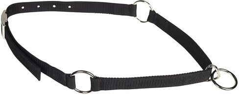 موستانج طوق الرقبة in Kuwait