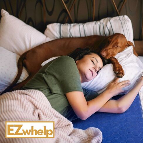 EZwhelp، وسادات سريعة الجفاف - 34 × 36 4 عبوات + وسادة إضافية 18 × 24 بوصة. الحل النهائي لليالي الجافة: امتصاص عالي، قابل لإعادة الاستخدام، ومقاوم للماء، حماية من التبول اللاإرادي وسلس البول لجميع الأعمار. in Kuwait