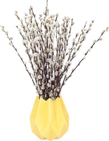 40 ينبع 17.5 بوصة فروع الصفصاف المجففة الحقيقية للمزهرية صفصاف الهرة البيضاء صفصاف الثلج الزهور المجففة صفصاف الهرة لديكورات المنزل، الزفاف، ساحة الموقد in Kuwait