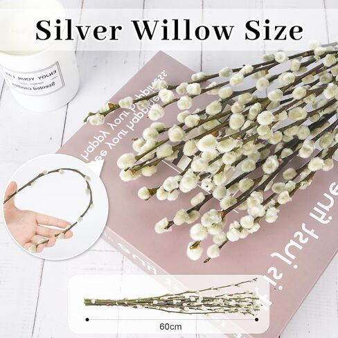 40 ينبع 17.5 بوصة فروع الصفصاف المجففة الحقيقية للمزهرية صفصاف الهرة البيضاء صفصاف الثلج الزهور المجففة صفصاف الهرة لديكورات المنزل، الزفاف، ساحة الموقد in Kuwait