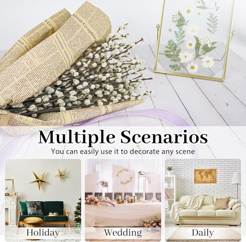 40 ينبع 17.5 بوصة فروع الصفصاف المجففة الحقيقية للمزهرية صفصاف الهرة البيضاء صفصاف الثلج الزهور المجففة صفصاف الهرة لديكورات المنزل، الزفاف، ساحة الموقد in Kuwait