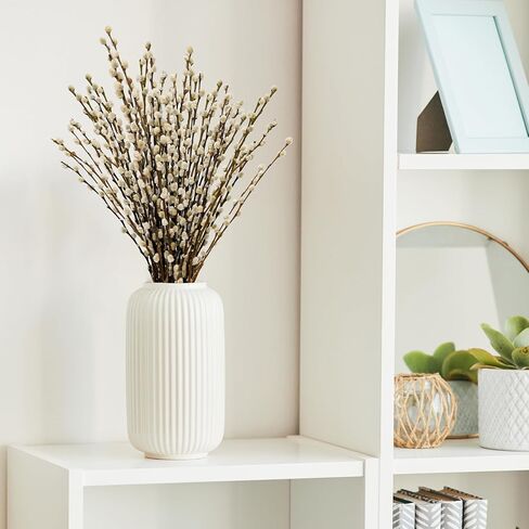 40 ينبع 17.5 بوصة فروع الصفصاف المجففة الحقيقية للمزهرية صفصاف الهرة البيضاء صفصاف الثلج الزهور المجففة صفصاف الهرة لديكورات المنزل، الزفاف، ساحة الموقد in Kuwait