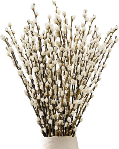 40 ينبع 17.5 بوصة فروع الصفصاف المجففة الحقيقية للمزهرية صفصاف الهرة البيضاء صفصاف الثلج الزهور المجففة صفصاف الهرة لديكورات المنزل، الزفاف، ساحة الموقد in Kuwait