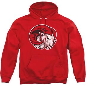 LOGOVISION Official Collegiate Distressed Primary Logo Adult Pullover Hoodie Collection