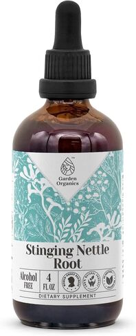 Stinging Nettle Root Alcohol-Free Natural Tincture Extract, Immune System Booster, Liquid Drops Made from 100% (4 fl oz) in Saudi Arabia