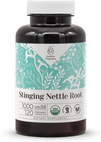 Stinging Nettle Root USDA Organic 120 Capsules | Digestive System, Natural Supplement | Certified Organic Vegetarian Capsules and Organic Stinging Nettle (Urtica Dioica) Dried Root (120 Capsules) in Saudi Arabia