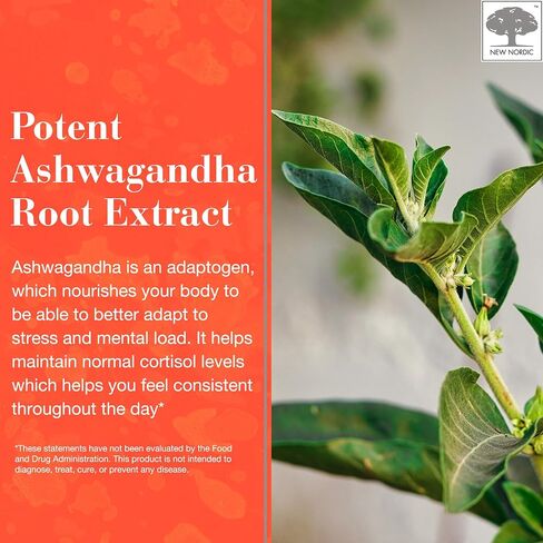 NEW NORDIC Ashwagandha Gummies | 300 mg Ashwagandha Root Extract | Sugar Free | Adaptogens for Men and Women | Delicious Mango Peach | 60 Gummies in Saudi Arabia