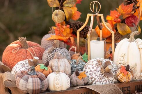 Boston International Plush Pumpkins Fall & Autumn Tabletop Shelf Décor, 5" Tall, Umber Floral in Saudi Arabia