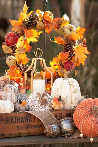 Boston International Plush Pumpkins Fall & Autumn Tabletop Shelf Décor, 5" Tall, Umber Floral in Saudi Arabia