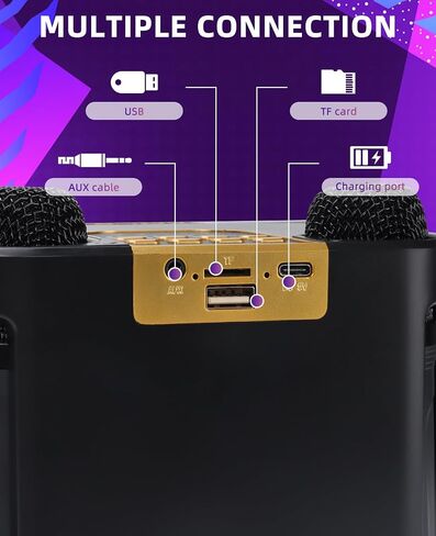 Portable Karaoke Machine with 2 Wireless Karaoke Microphones for Adults and Kids, Singing Machine Bluetooth Karaoke System for Home Party, Meeting (Black) in Saudi Arabia