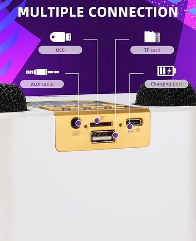 Portable Karaoke Machine with 2 Wireless Karaoke Microphones for Adults and Kids, Singing Machine Bluetooth Karaoke System for Home Party, Meeting (Black) in Saudi Arabia