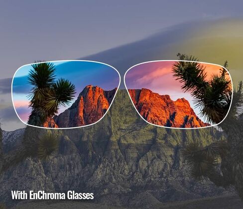 نظارات Enchroma - أفالون - نظارات تصحيح الألوان وتعزيزها للاستخدام الخارجي لعمى الألوان Deutan وProtan in Saudi Arabia