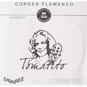 Savarez T53J High Tension Flamenco Fusion Guitar Strings - Polished Silverplated Copper, 4th "D", Single String, 10 Pack