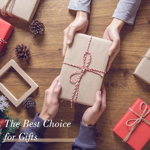 Fake Book Box Decorative Vintage Book Shaped Trinket Storage Box Leather Embossed Reddish Brown-24A-005 in Kuwait