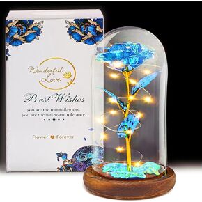 Rose Flower Gifts for Women, Mothers Day Rose Gifts for Her, Light Up Rose Flower in Glass - Women Gifts for Mother Day Birthday Anniversary