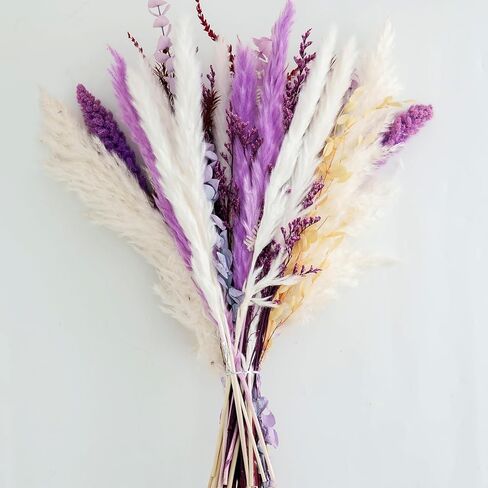 Natural Dried Pampas Grass Bouquet, Boho Home Decor Bouquet, Champagne Pompas Grass Decor, Dried Flower Arrangement for Home Wedding Decoration (M200) in Saudi Arabia