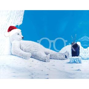 Hi-Look Microfiber Cleaning Cloth - Polar Bear
