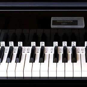 Piano Keyboard Stickers,Piano Notes Guide for Beginner 61/54/49/37 Keyboard Digital Piano,Removeable Piano Key Labels Made of Reusable Silicone with Storage Box (Rainbow)