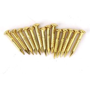 ViaGasaFamido 100Pcs Brass Tacks, Round Head Gold Nails Brass Wall Pins Tacks for Hanging Picture Frame Mirror(10mm Length)