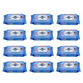 Cleansing One Hand Open Everyday & Travel Wet Wipes, 100 Count, Pack of 12