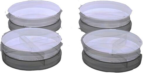 Nest Scientific 754001 طبق بيتري 60 مم، معقم 20/كيس، 500/cs in Kuwait