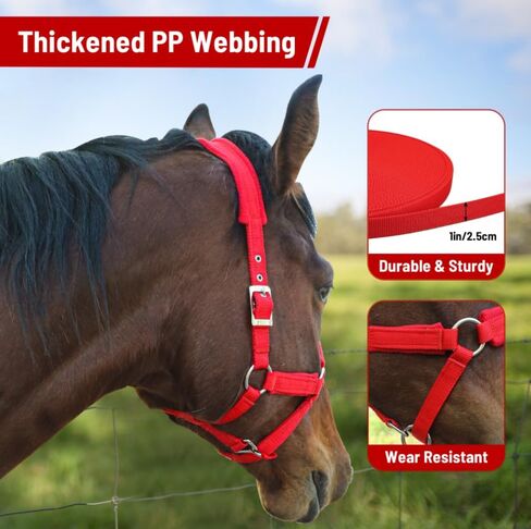 Adjustable Horse Halter with Polar Fleece Lined, Rope Halters, Equestrian Horse Riding Headcollar with Satin Hardware, Prevents Rubs, Adjustable Fit,Great for Trailering & Shows in Saudi Arabia