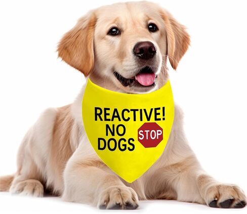 1 Piece Reactive No Dogs/Do Not Pet Dog Bandana Anxious Dog Reactive Dog Bandana Yellow Dog Bandana (Reactive No Dogs D) in Saudi Arabia