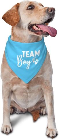It's A Boy It's A Girl Gender Reveal/Baby Announcement Dog Bandana,Dog Engagement Bandana,Gender Reveal Dog Bandana,Gender Reveal Dog Bandana Reversible,2pack (Love Blue) in Kuwait