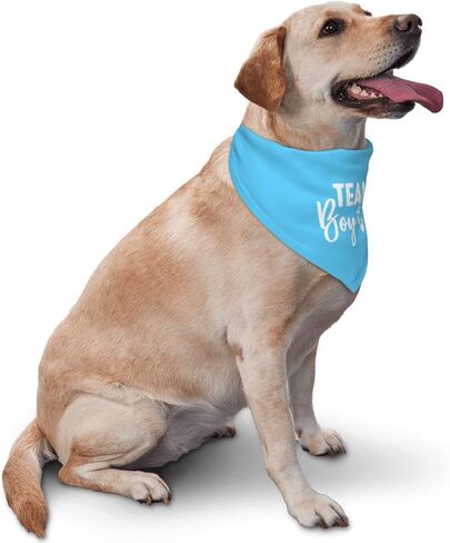 It's A Boy It's A Girl Gender Reveal/Baby Announcement Dog Bandana,Dog Engagement Bandana,Gender Reveal Dog Bandana,Gender Reveal Dog Bandana Reversible,2pack (Love Blue) in Kuwait