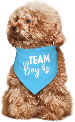 It's A Boy It's A Girl Gender Reveal/Baby Announcement Dog Bandana,Dog Engagement Bandana,Gender Reveal Dog Bandana,Gender Reveal Dog Bandana Reversible,2pack (Love Blue) in Kuwait