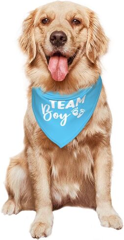 It's A Boy It's A Girl Gender Reveal/Baby Announcement Dog Bandana,Dog Engagement Bandana,Gender Reveal Dog Bandana,Gender Reveal Dog Bandana Reversible,2pack (Love Blue) in Kuwait