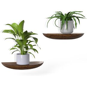 Solid Wood Half Round Floating Wall Shelves | Elegant Floating Shelves, Elevate Your Space. Perfect for Living Rooms, Bathrooms, Bedrooms, Offices, Children's Rooms