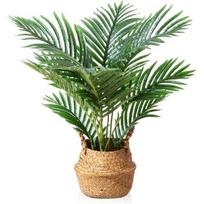 LOMANTO Fake Majesty Palm Plant 2Ft Artificial Plants for Home Decor Indoor Small Faux Trees in Pot Fake Tropical Plants for Housewarming Gift 1Pack