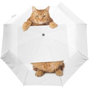 Black Compact Travel Umbrella Maine Coon Cat Auto Open Close Umbrella Windproof Anti-UV