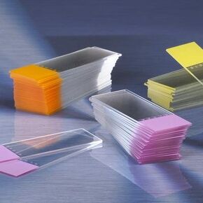 Globe Scientific Diamond 1380-50P White Glass Microscope Slide, 25 x 75mm Size, Ground Edges, Pink Frosted (1,440 Slides)