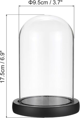 PATIKIL 3.7"x6.9" Glass Display Dome Cloche, Decorative Display Bell Jar with LED Light Base for Plants Collectible Figure Candles Medals, Black in Saudi Arabia