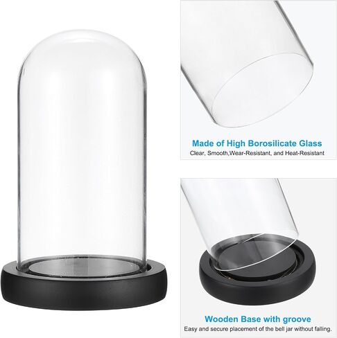 PATIKIL 3.7"x6.9" Glass Display Dome Cloche, Decorative Display Bell Jar with LED Light Base for Plants Collectible Figure Candles Medals, Black in Saudi Arabia