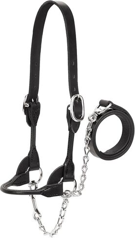Weaver Leather Livestock Dairy/Beef Rounded Show Halter in Saudi Arabia