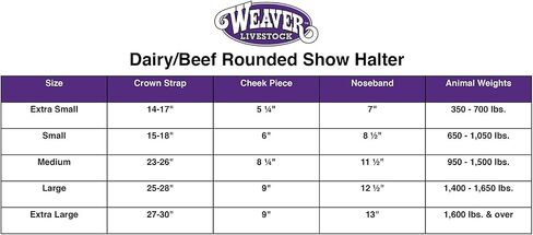Weaver Leather Livestock Dairy/Beef Rounded Show Halter in Saudi Arabia