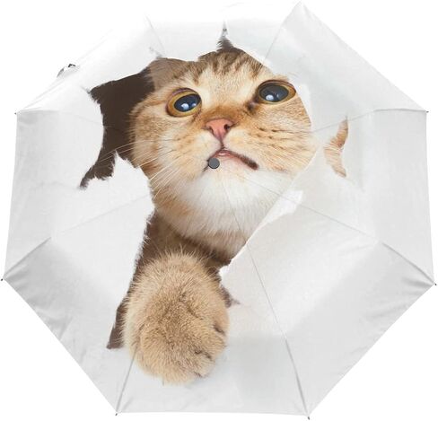 Black Compact Travel Umbrella Maine Coon Cat Auto Open Close Umbrella Windproof Anti-UV in Saudi Arabia