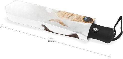Black Compact Travel Umbrella Maine Coon Cat Auto Open Close Umbrella Windproof Anti-UV in Saudi Arabia