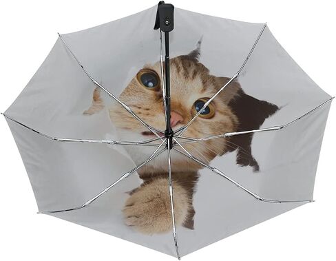 Black Compact Travel Umbrella Maine Coon Cat Auto Open Close Umbrella Windproof Anti-UV in Saudi Arabia