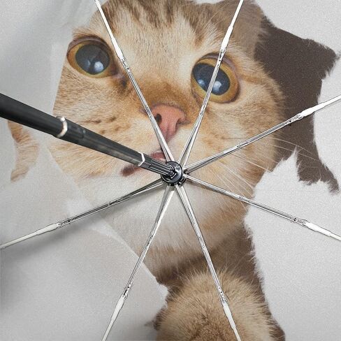 Black Compact Travel Umbrella Maine Coon Cat Auto Open Close Umbrella Windproof Anti-UV in Saudi Arabia