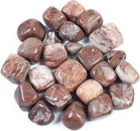 Polygram Jasper Tumbled Crystals Bulk Polished Rocks Stones Healing Crystals and Stones for Tumbling Rock Collection Vase Filler Reiki Gemstone Gifts Fountain Tumbles | Size 20-25 mm, 1lb in Saudi Arabia