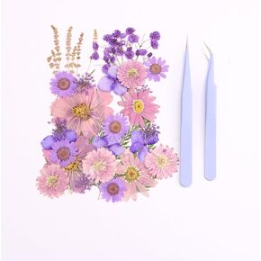35pcs Pressed Dried Flowers + 2 Tweezers .Pressed Flower Resin Mold Dry Pressed Flower DIY Jewelry Making Nail Art, Mobile Phone Shell Decorative Card Decorative Flowers.(Little Girl)