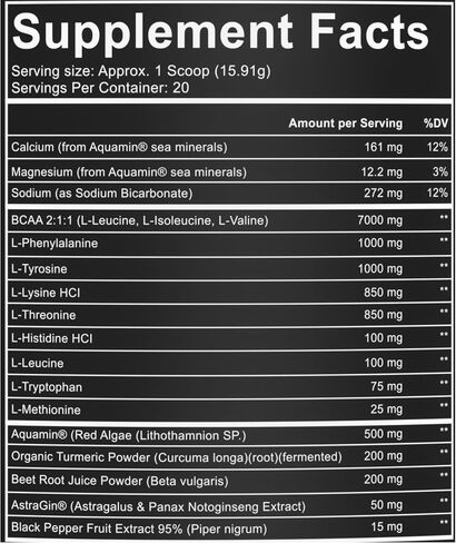 EAA Endure - 11g EAA + BCAA with Astragin & Black Pepper Extract for Enhanced Amino Acid Absorption & Aquamin Electrolytes for Hydration | 25 Servings (Kiwi Guava) in Saudi Arabia
