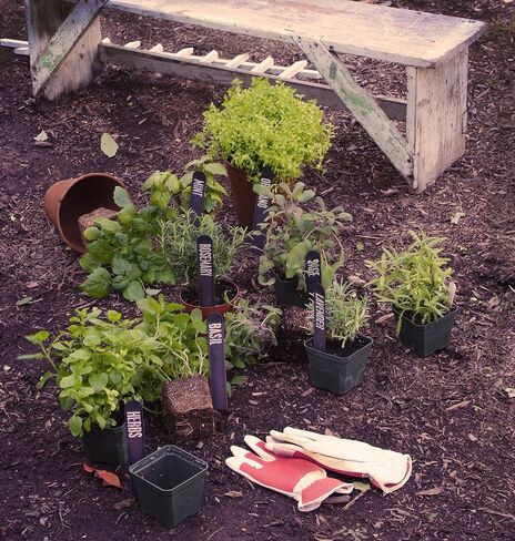 Primitives by Kathy Bouquet Pick Faux Greenery, Cotton Twigs in Saudi Arabia