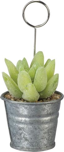 Primitives by Kathy Bouquet Pick Faux Greenery, Cotton Twigs in Saudi Arabia