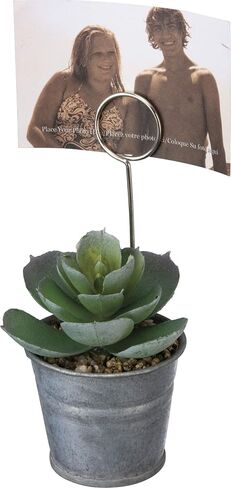 Primitives by Kathy Bouquet Pick Faux Greenery, Cotton Twigs in Saudi Arabia